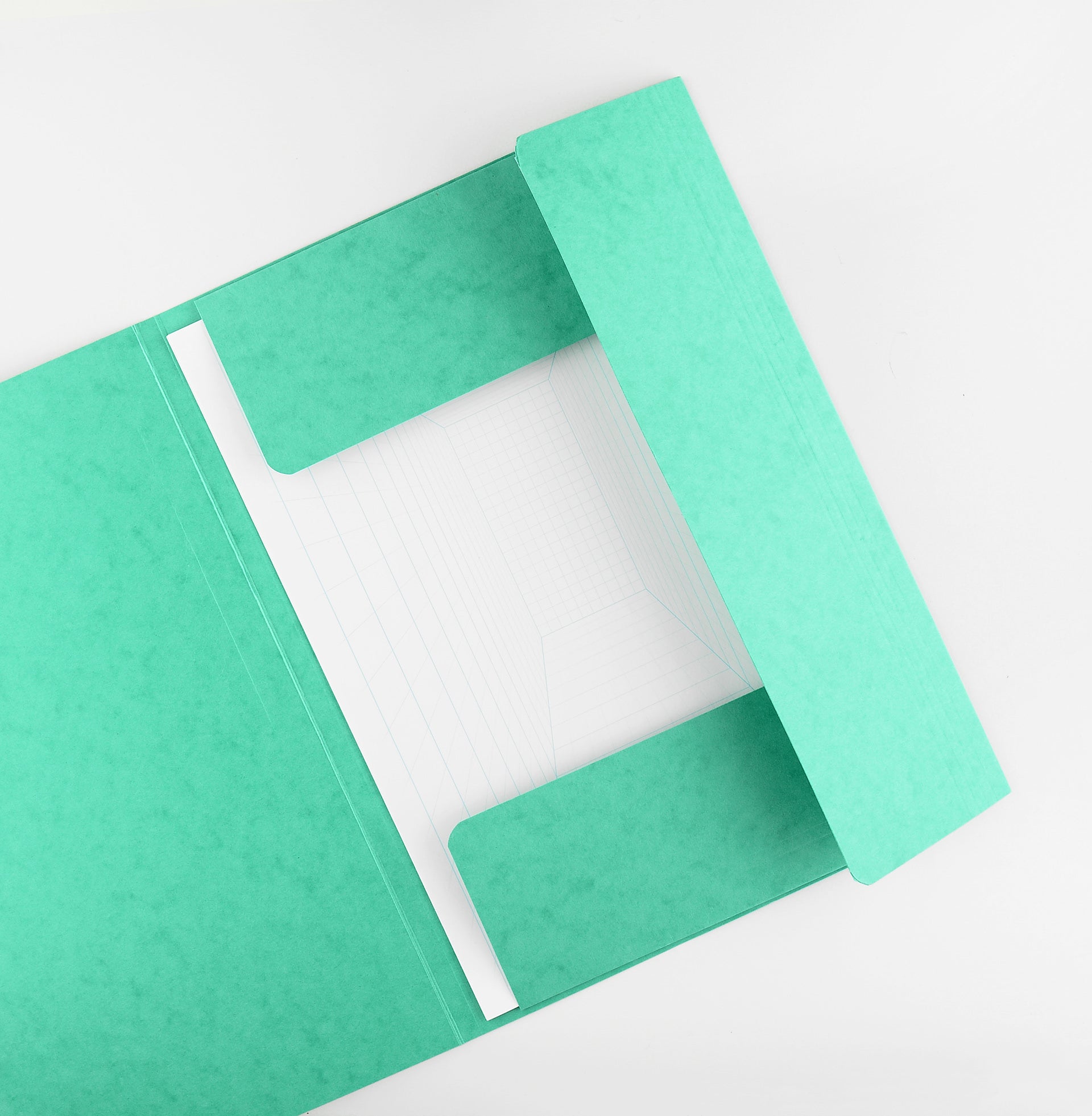 Exacompta Exacompta 3-Flap File Folder Elastic Closure 