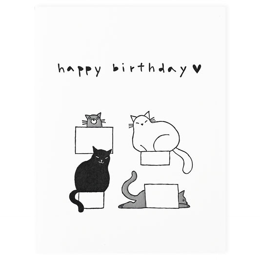 Fugu Fugu Birthday Cats In Boxes Greeting Card 