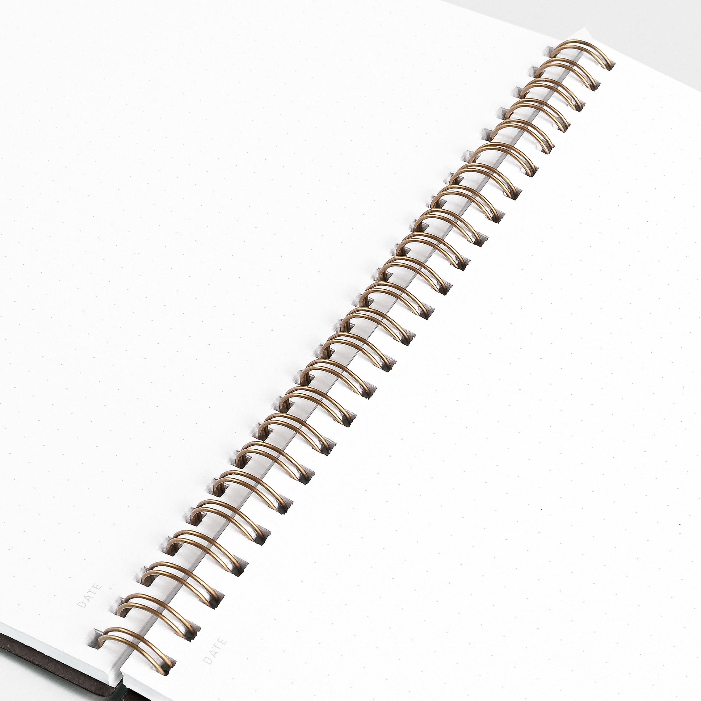 Calepino Greer x Calepino Dot Grid Notebook Chocolate 