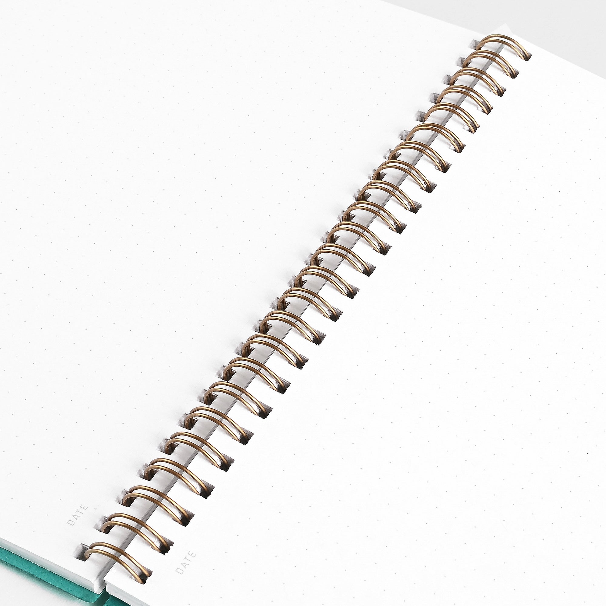 Calepino Greer x Calepino Dot Grid Notebook Turquoise 