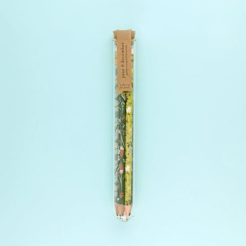 June & December Garden Mix Pencil Terrarium Set Of 5 