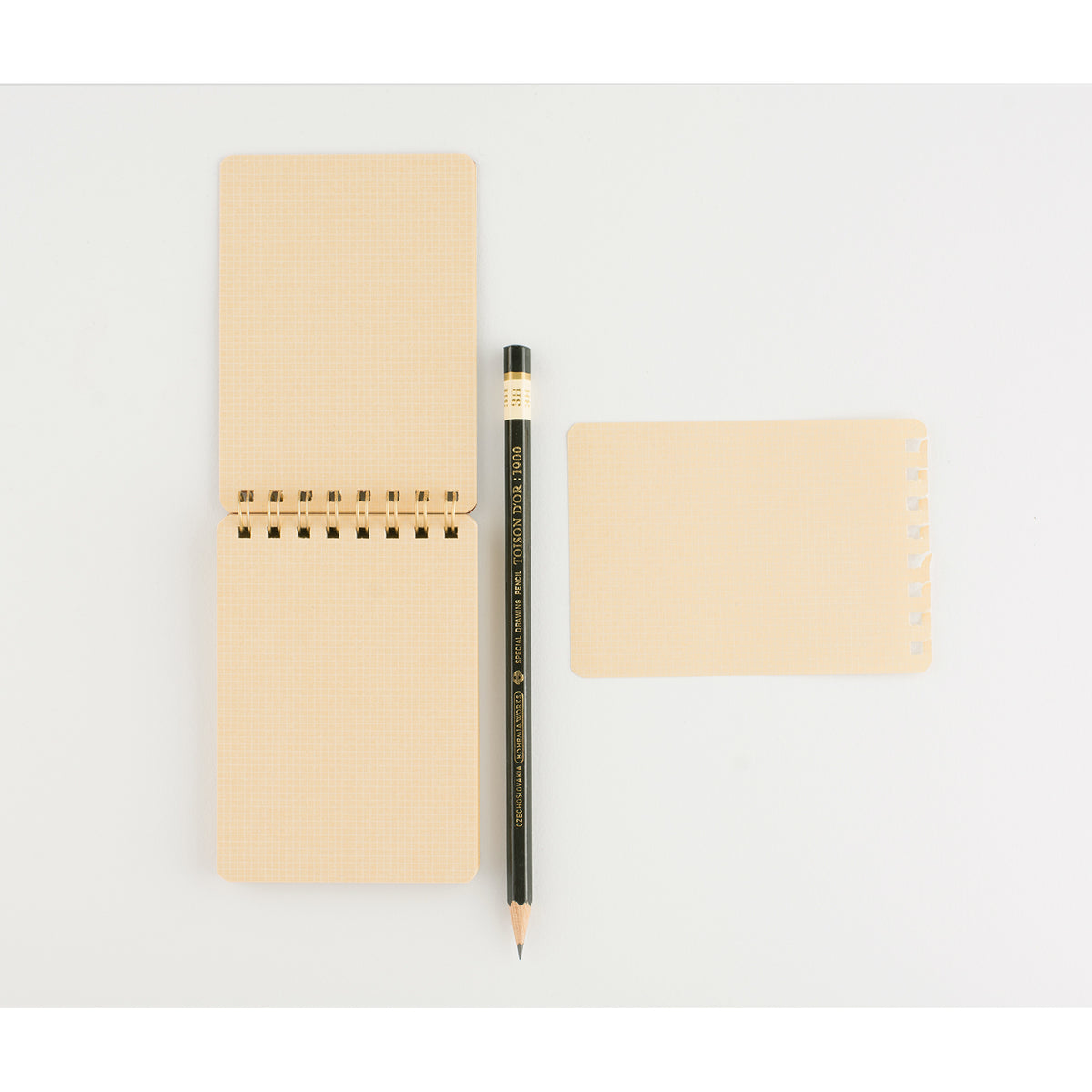 LIFE Kleid x LIFE Work Memo | In Four Colors 