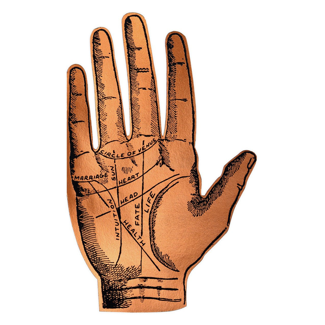 Ladyfingers Letterpress Palmistry Greeting Card 