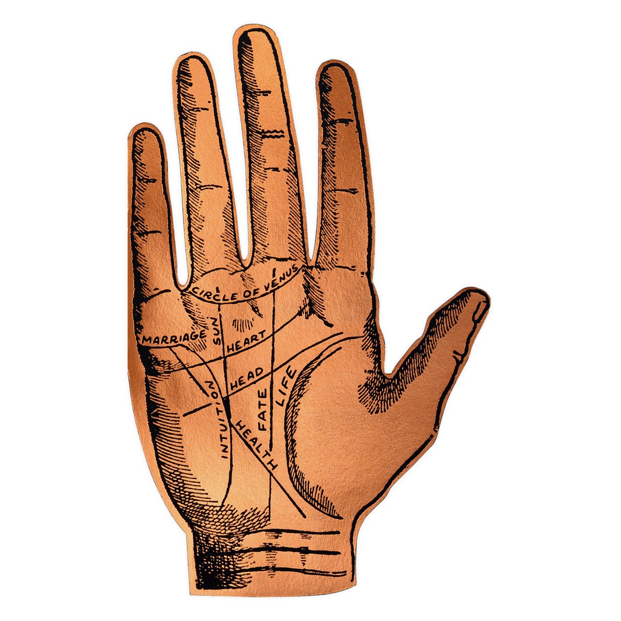 Ladyfingers Letterpress Palmistry Greeting Card 