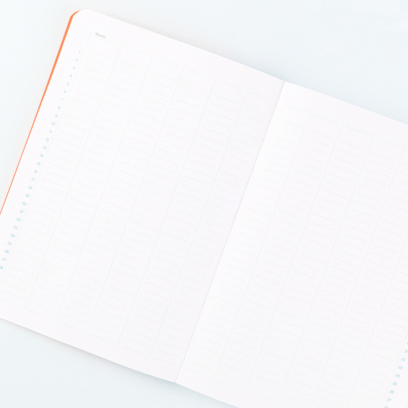 mishmash Undated Planner  Mandarin & Blue 