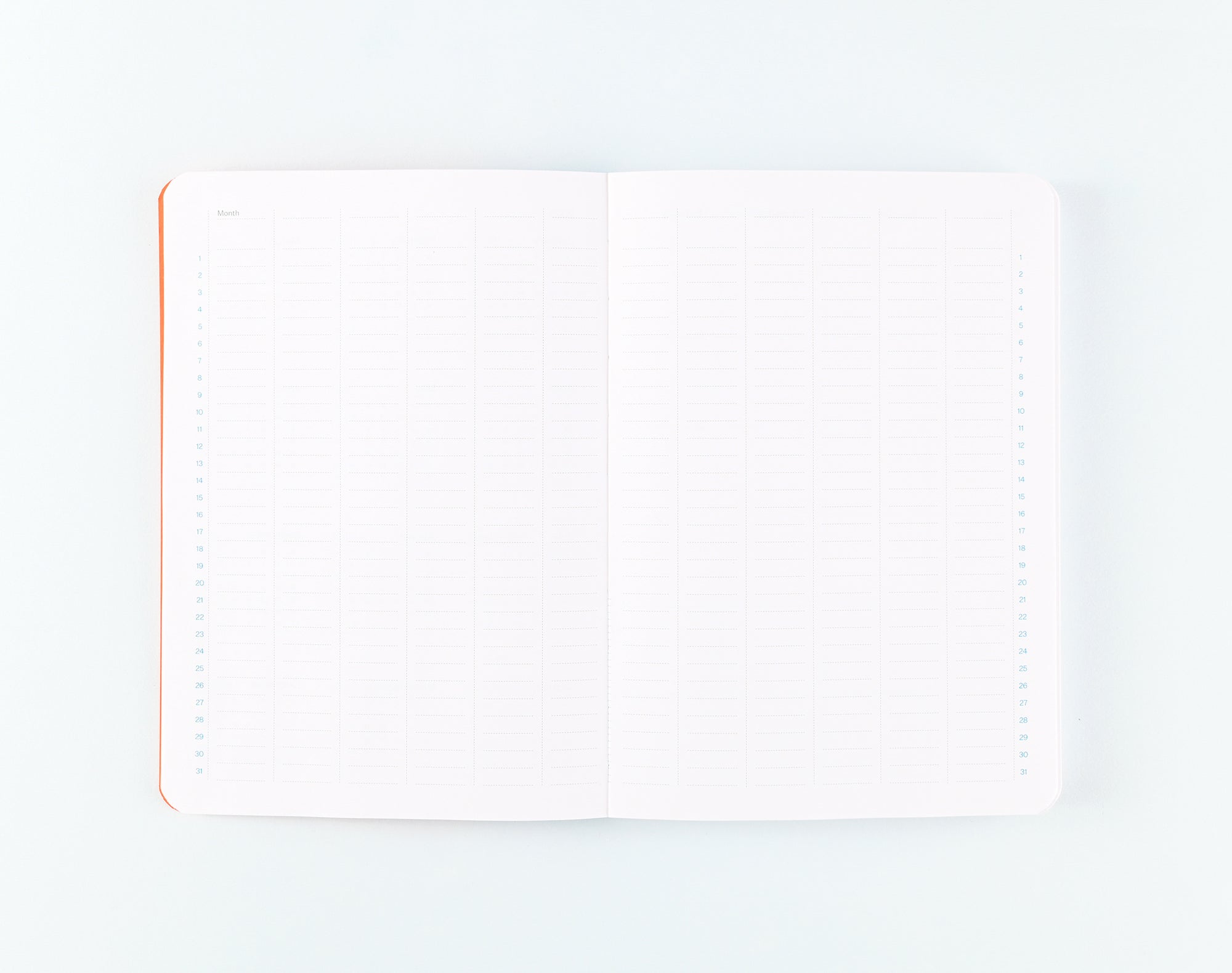 mishmash Undated Planner  Mandarin & Blue 