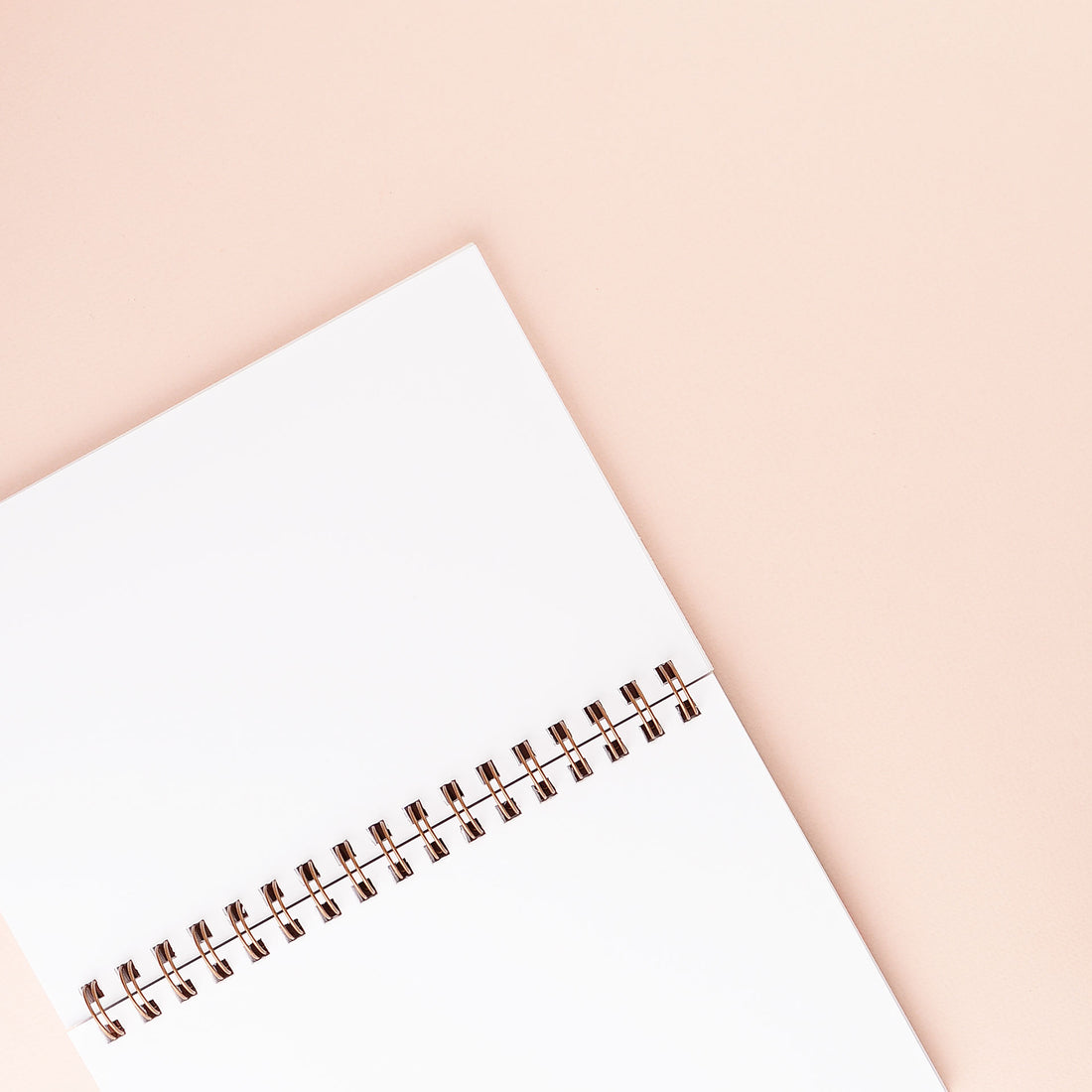 Moglea Hand-Painted Notebook Infinity 
