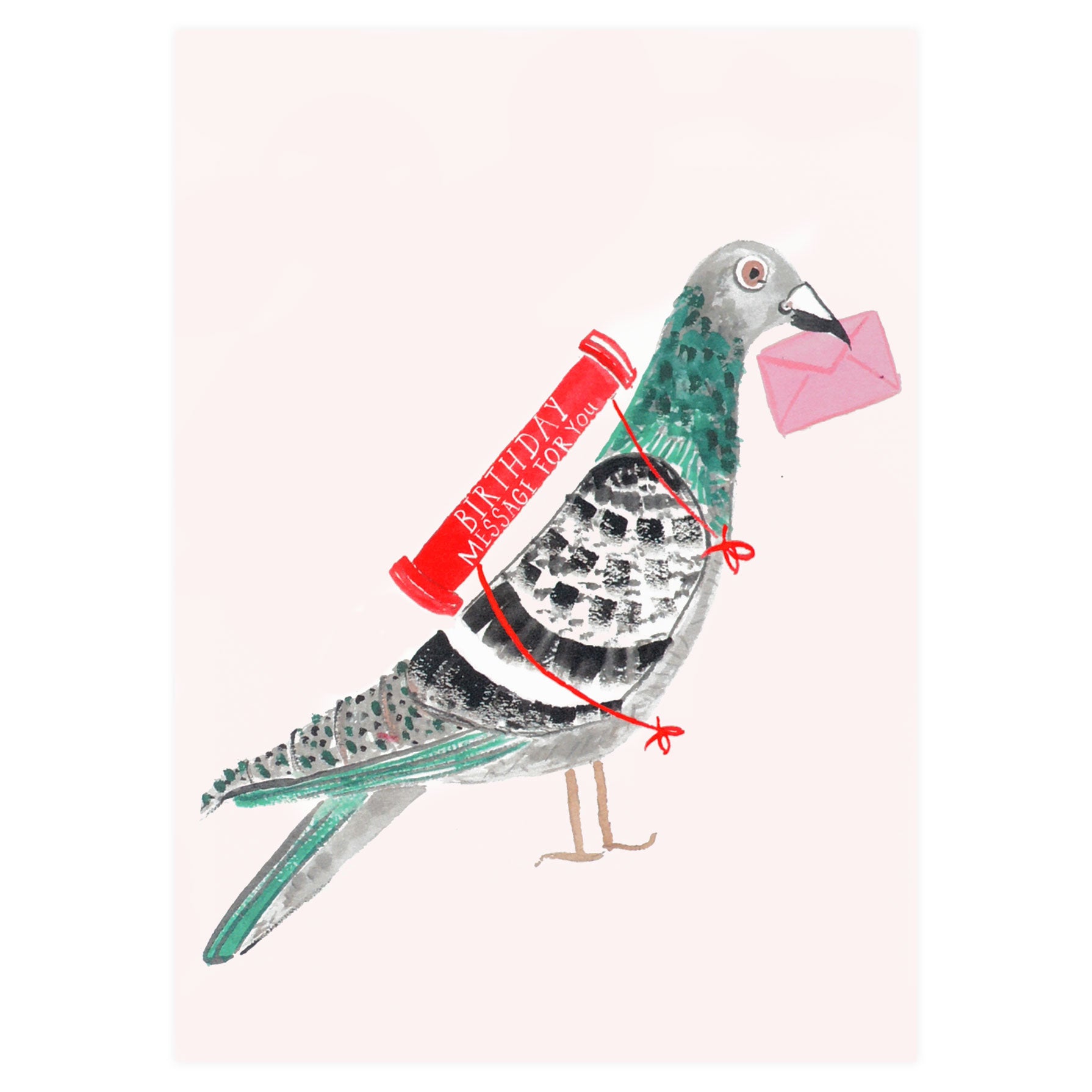 Mr. Boddington's Studio Pigeon With A Message Birthday Card 