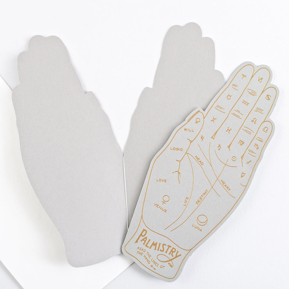 Noat Palmistry Greeting Card 
