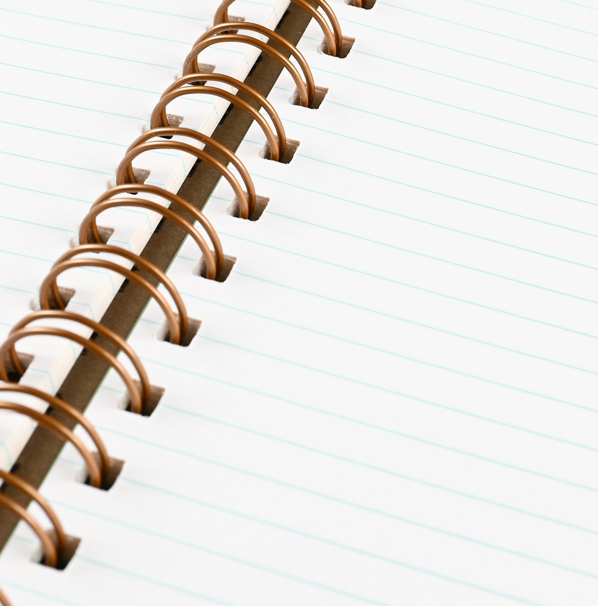 Shorthand The Standard Notebook Fog Lined Limited Edition