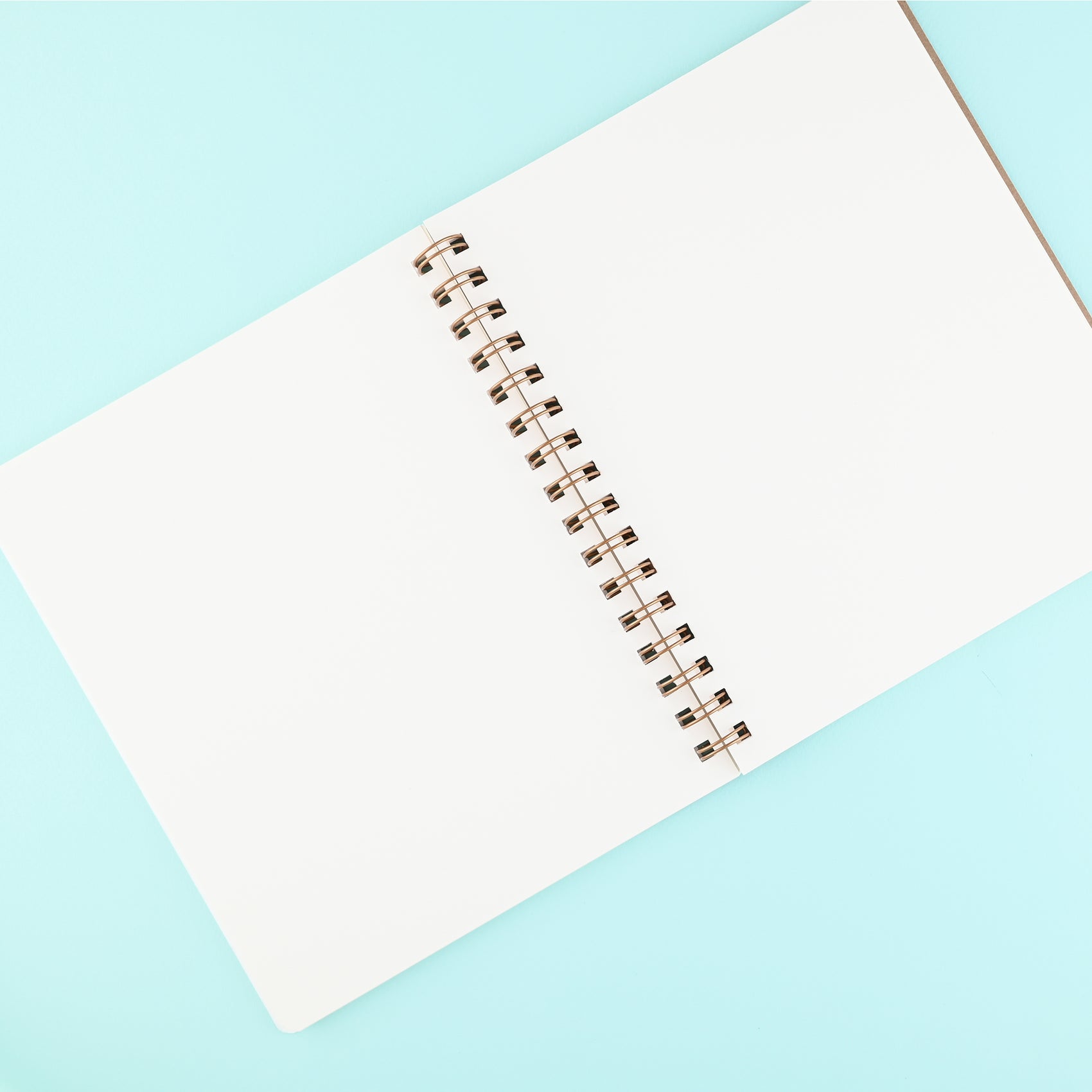 Shorthand The Standard Notebook Plaid | Blank, Dot Grid Or Lined 
