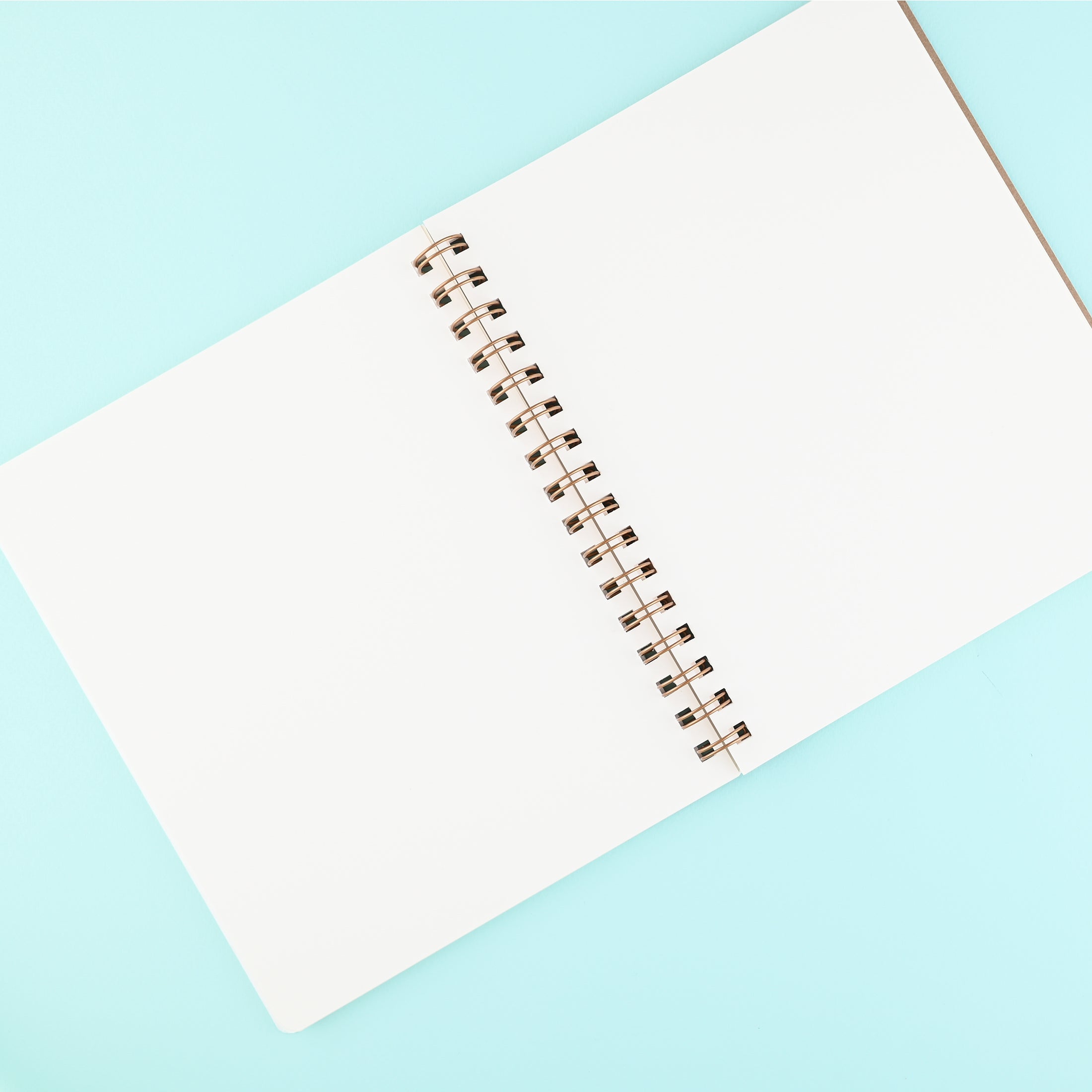 Shorthand The Standard Notebook Plaid | Blank, Dot Grid Or Lined 