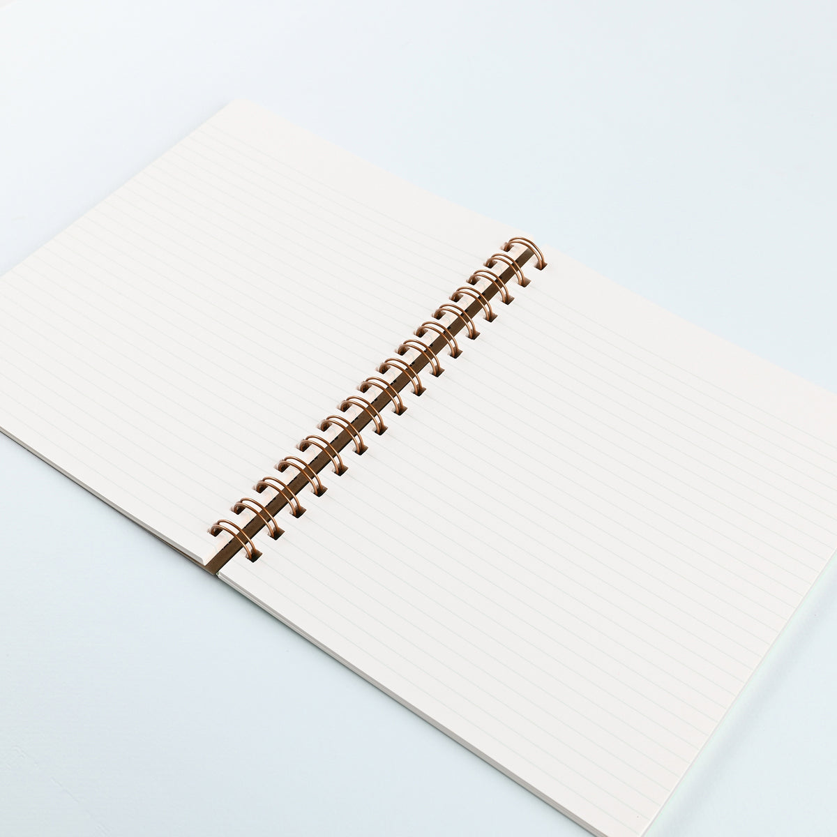 Shorthand The Standard Notebook Fog Lined Limited Edition 